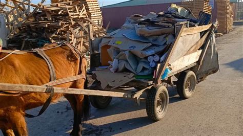 Manisa’da 3 at arabasına el kondu - Son Dakika Haberleri