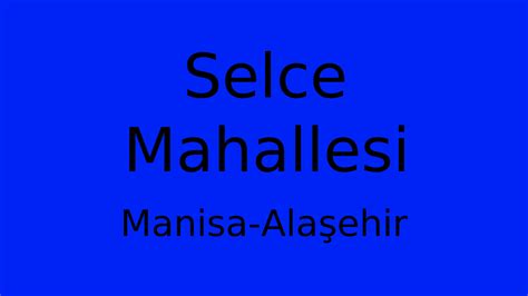 Manisa Alasehir Selce Mahallesi terapi halı yıkama
