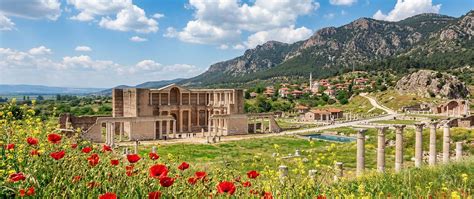 Manisa En Yakin terapi halı yıkama
