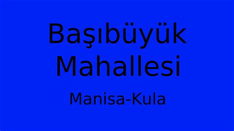 Manisa Kula Basibuyuk Mahallesi terapi halı yıkama
