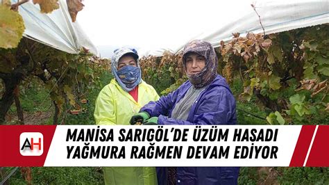 Manisa Sarigol terapi halı yıkama