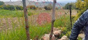 Manisa Saruhanli Caltepe Mahallesi terapi halı yıkama