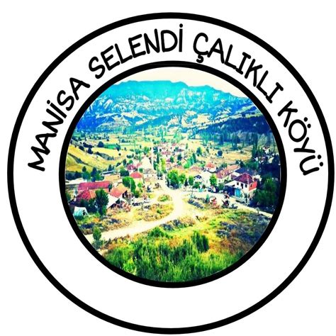 Manisa Selendi terapi halı yıkama