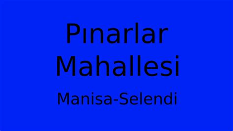 Manisa Selendi Pinarlar Mahallesi terapi halı yıkama