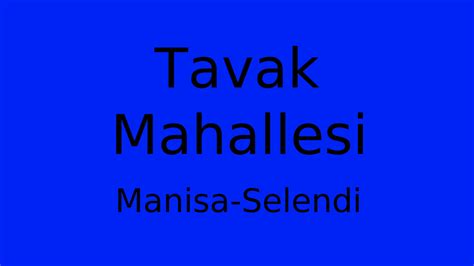 Manisa Selendi Tavak Mahallesi terapi halı yıkama
