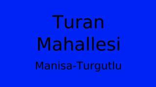 Manisa Turgutlu Turan Mahallesi terapi halı yıkama