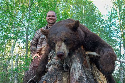 Manitoba Black Bear Hunts, Manitoba Bear Hunting, Manitoba Outfitters ...