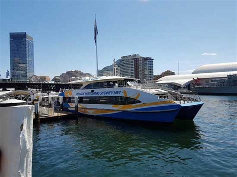 Manly Fast Ferry Timetable