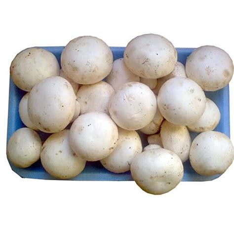 Mantar 300 g CarrefourSA. 