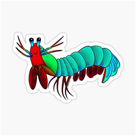 Mantis Shrimp Stickers for Sale Redbubble