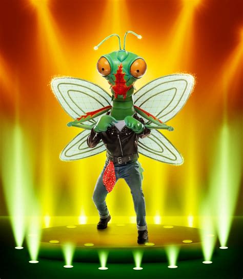 Mantis masked singer. Things To Know About Mantis masked singer. 