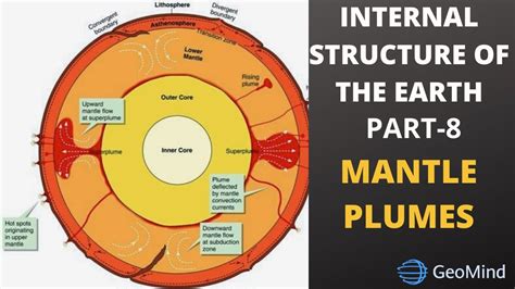 Mantle plumes and dynamics of the Earth interior — towards a …