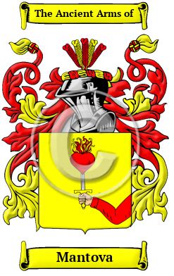 Mantova History, Family Crest & Coats of Arms