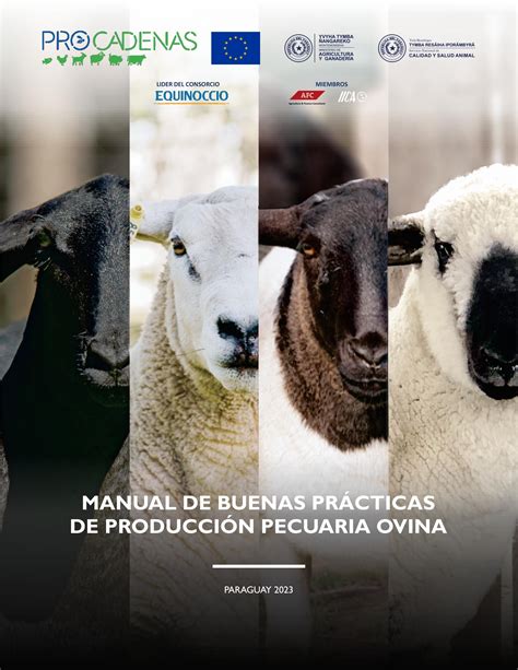 Manual [de] cooperativas agrícolas y pecuarias. - Organizações, instituições e poder no brasil.