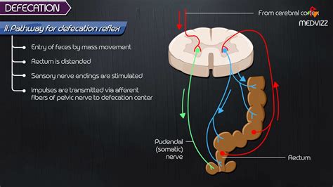 Manual Evacuation For Constipation