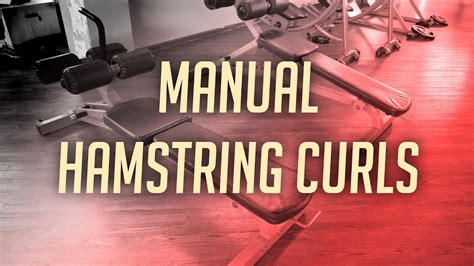 Manual Hamstring Curls