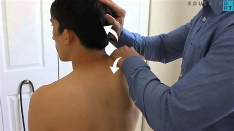 Manual Muscle Testing Levator Scapulae
