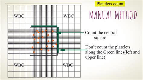 Manual Platelet Count Slide Method