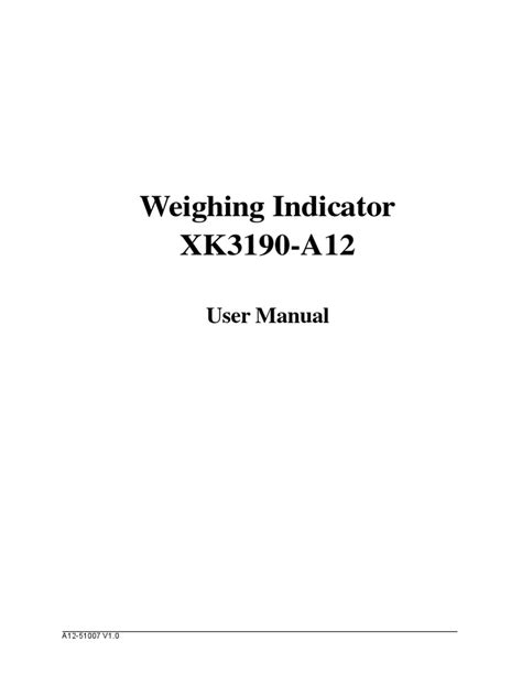 Manual Xk3190 a12