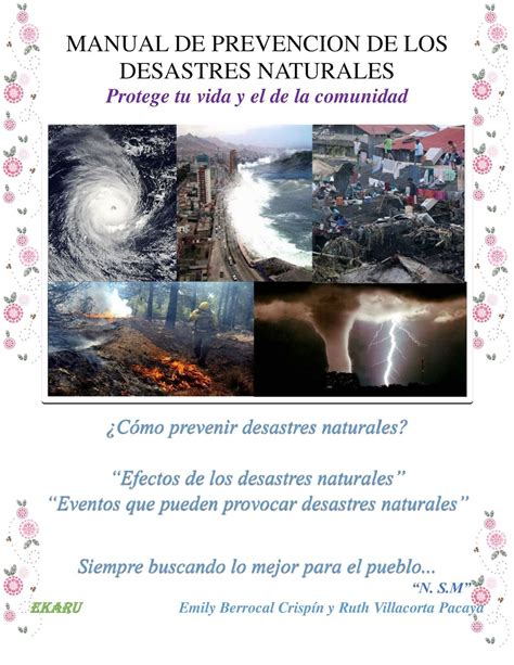 Manual de investigación de desastres por havidan rodriguez. - Handbook of computational economics vol 3.