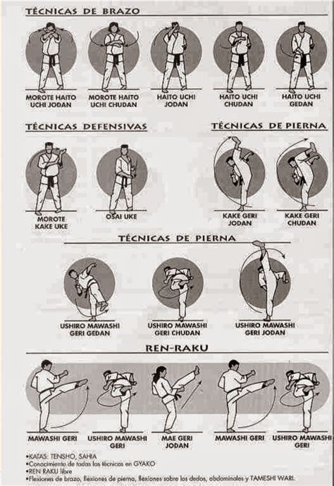 Manual de técnica suave de artes marciales. - Study guide outline template abp certifying exam.
