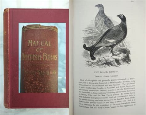 Manual of british birds by howard saunders. - Gantz s manual of clinical problems in infectious disease lippincott.