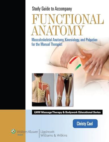 Manual of kinesiology and functional anatomy. - Chem study guide acids and bases answers.