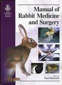 Manual of rabbit medicine and surgery bsava british small animal. - Dette er cuba, alt annet er løgn!.