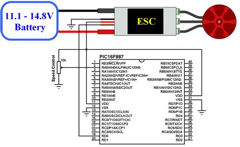 Manual of sensorless brushless motor speed controller. - A guide to tracing your cork ancestors by tony mccarthy.