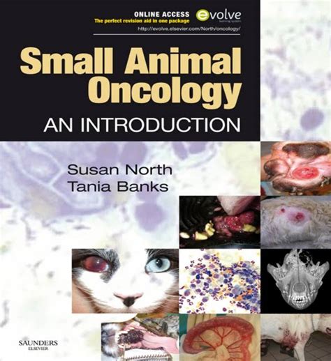 Manual of small animal oncology by british small animal veterinary association. - Jezus christus in het historisch onderzoek..