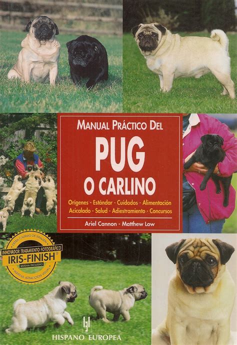 Manual practico del pug o carlino practical manual of pug. - Quimica fisica manual de soluciones de levine 5th edition.