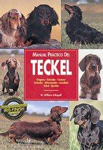 Manual practico del teckel/ guide to owning a dachshund (animales de compania/ companion animals). - Service manual for a 2001 suzuki rm250.