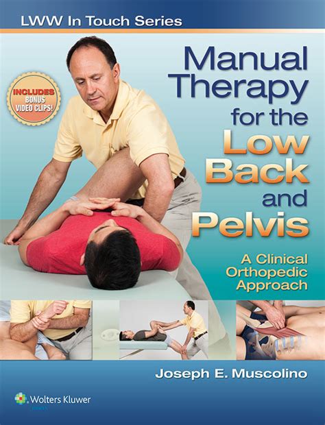 Manual therapy for the low back and pelvis a clinical orthopedic approach. - Electrons in atoms study guide key.
