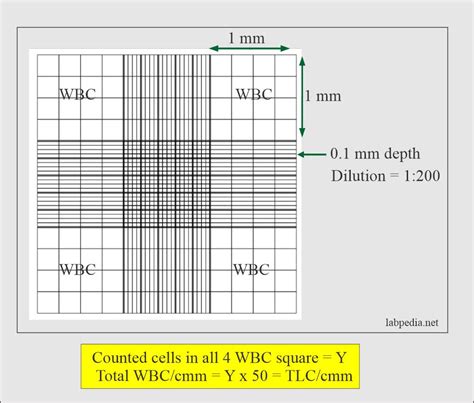 Manual white blood cell count with hemocytometer. - Fondamenti del manuale di soluzione di analisi strutturale 4 ° leet.