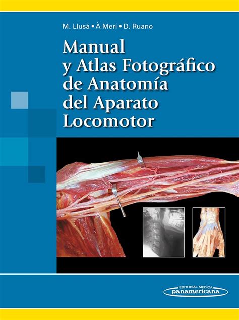 Manual y atlas fotografico de anatomia del aparato locomotor manual. - Lyman 49a edizione manuale di ricarica soft 9816049.