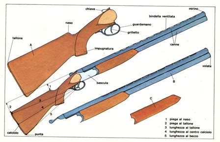 Manuale del fucile da caccia boito. - Manuale di riparazione polaris 600 sportsman.