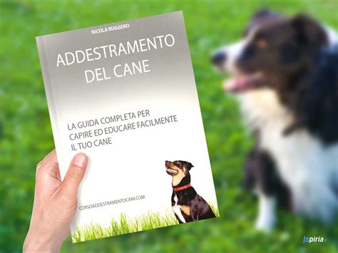 Manuale di addestramento per cani da guardia. - Civil engineering guidelines for planning and designing hydroelectric developments waterways.