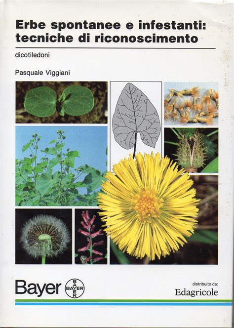 Manuale di controllo delle piante infestanti e di crescita delle piante. - Dna technology and genomics study guide answers.