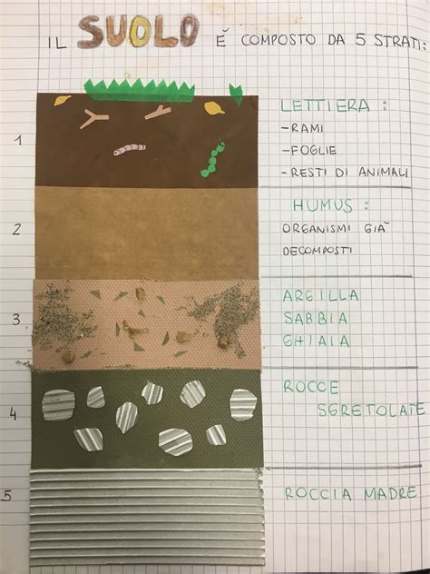 Manuale di laboratorio per intonaci scienza e gestione del suolo 5th. - Federigo bufaletti e la sua arte.