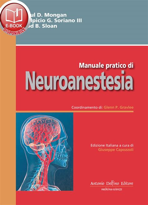 Manuale di neuroanestesia di elementi essenziali clinici e fisiologici. - A student guide to maxwell equations solutions.