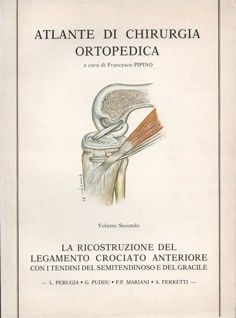 Manuale di ricostruzione di crociato 454. - Léxico relativo a las partes del cuerpo.