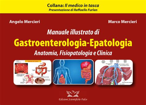 Manuale oxford di gastroenterologia ed epatologia manuali oxford. - A readers guide to wallace stevens.