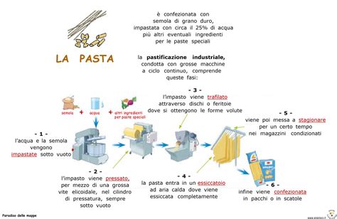Manuale sulla biotecnologia della pasta madre. - Washing machine service manual wiring diagram.