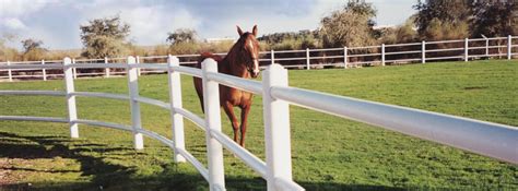 Manufacturers and Distributors of Paddock Fencing