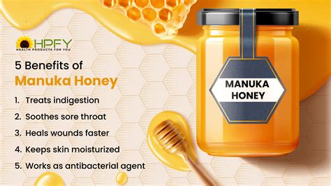 Manuka Honey Shampoo: How It Benefits Both Hair and …