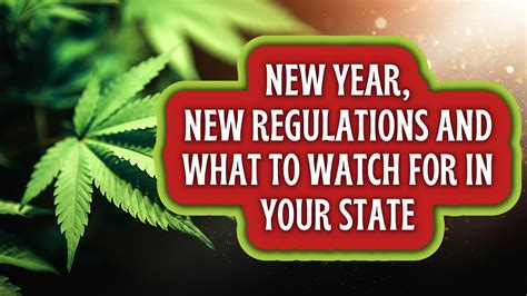 Many New Cannabis Laws Take Effect This Week