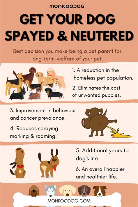 Many health benefits to neutering your dog