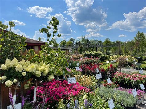 Manza Farm and Garden... - Manza Farm and Garden Center