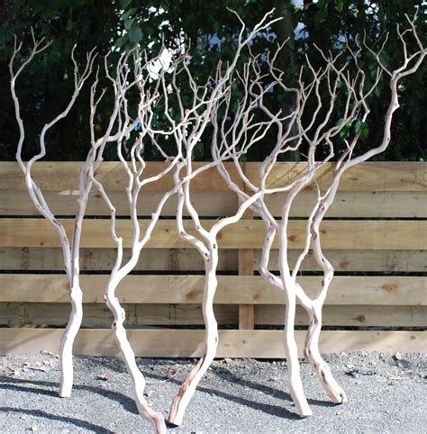 Manzanita Branches, Leave the 'eccentrics' – those odd branches