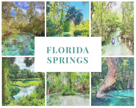 Map of florida springs. Swimming and tubing is a great way to enjoy Juniper Springs Recreation Area. 🚗 1 hour 15 minutes from Orlando / 67.8 miles. 📍 Location: 26701 E Highway 40, Silver Springs, FL. 💵 Fees: $12 per person (plus tax) Juniper Springs is just outside Ocala in the Ocala National Forest. 